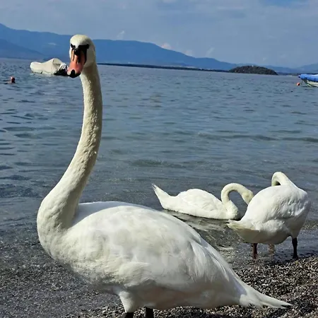 Magical View 1 Asproneri, Appartement